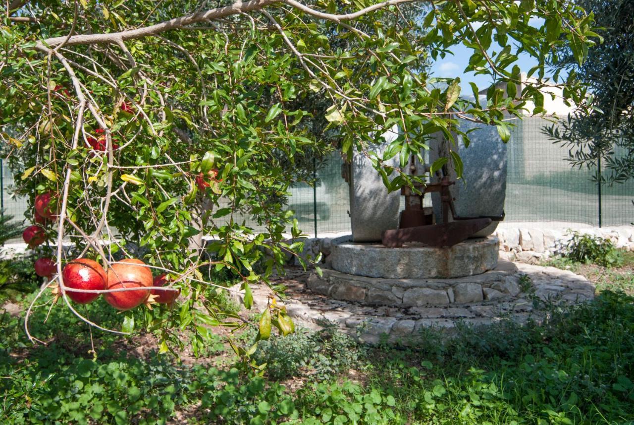 Agriturismo Al Casale Donnafugata Bagian luar foto